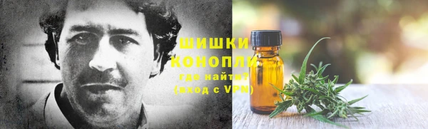 твердый Рославль