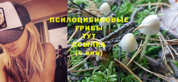 бутират Ростов