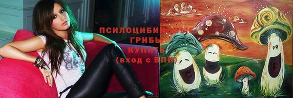 бутират Ростов